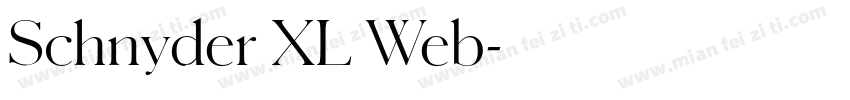 Schnyder XL Web字体转换
